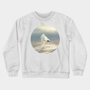 Free Falling Dream Crewneck Sweatshirt